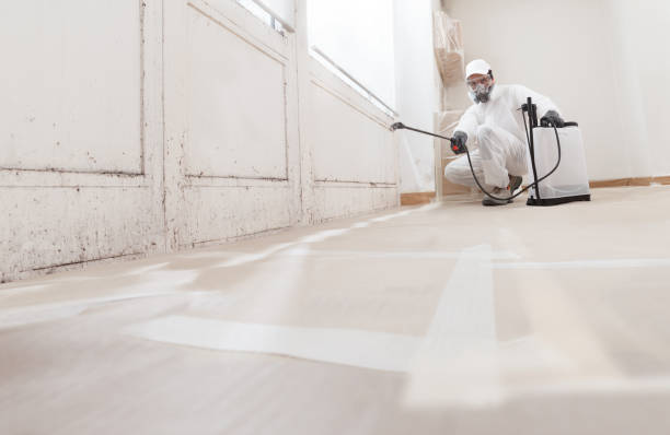 24/7 Emergency Mold Testing experts in Bowie, TX