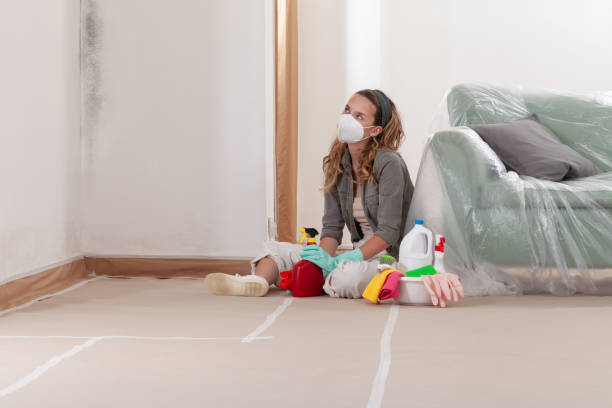 Reliable Mold Cleanup contractor in Bowie, TX by Cheap Mold Removal